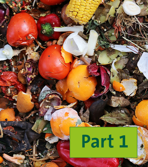 Food Waste - Teil 1: Das Paradox unserer Zeit