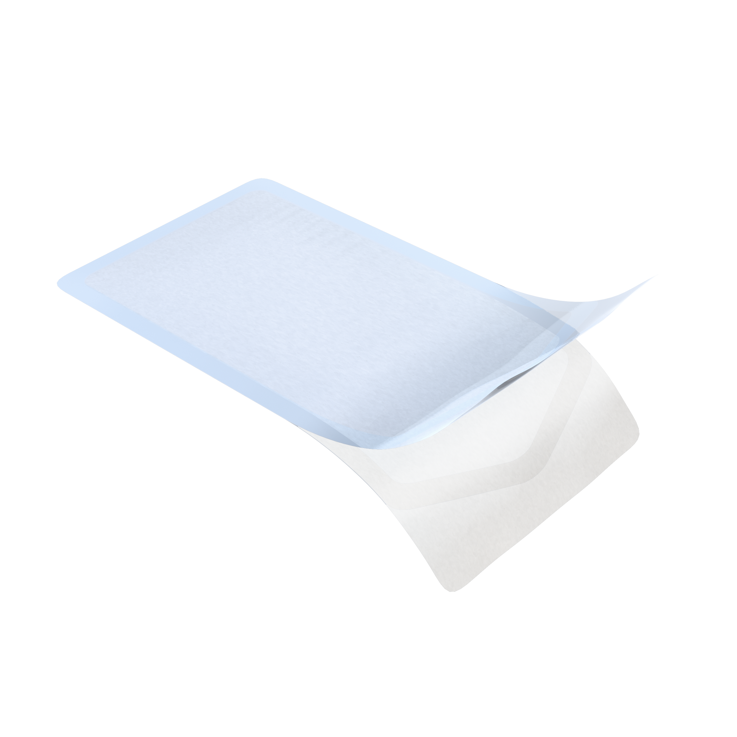 GLP-PET-PE Pouch