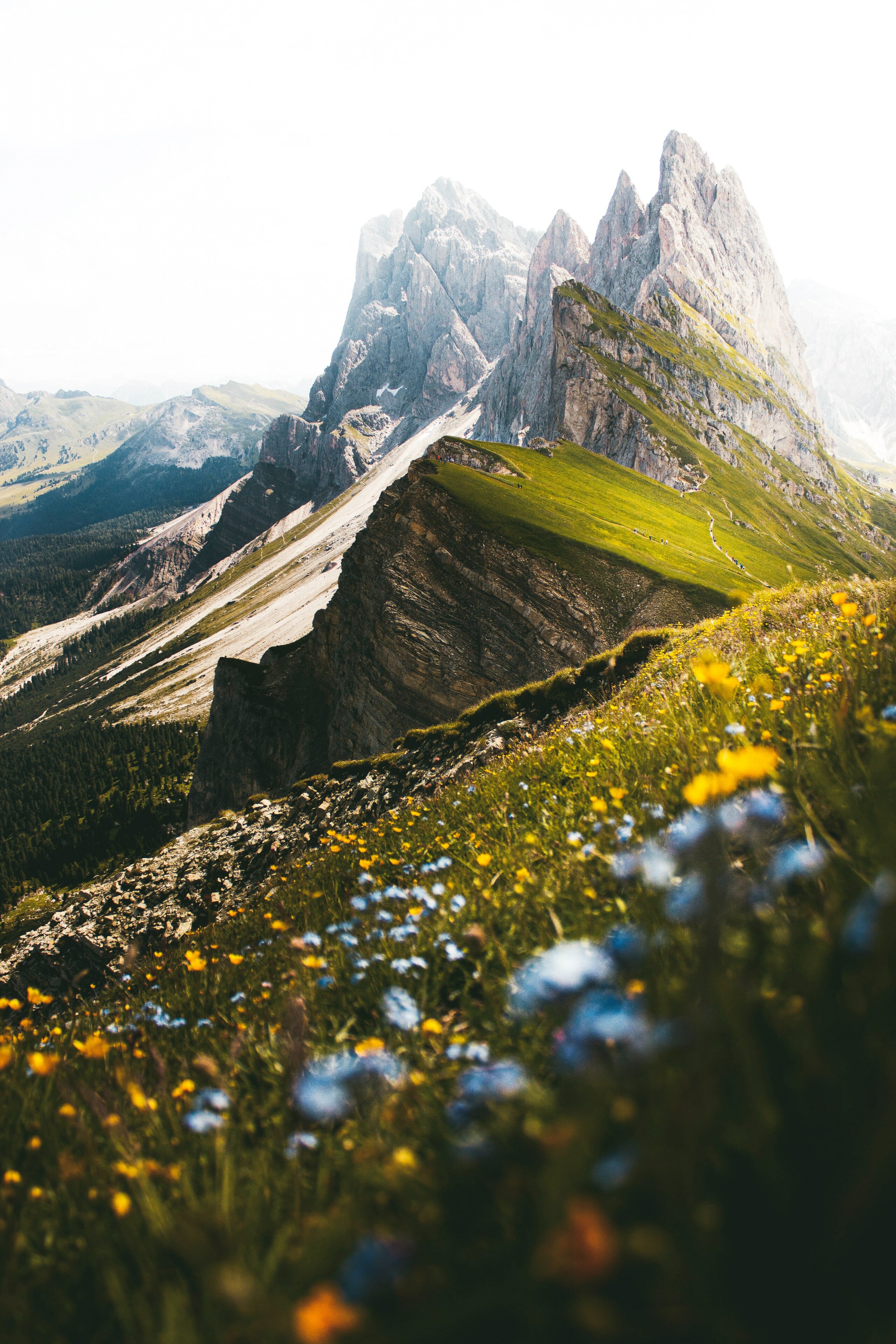 Bild zeigt Naturlandschaft und Nachhaltigkeit in der Verpackungsindustrie